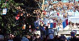 L'arbre et ses décors