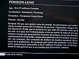 poisson lune